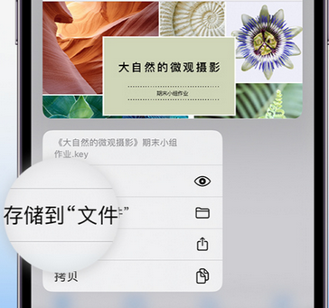 鄂托克前apple维修中心分享iPhone文件应用中存储和找到下载文件