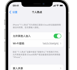 鄂托克前apple服务站点分享iPhone上个人热点丢失了怎么办 