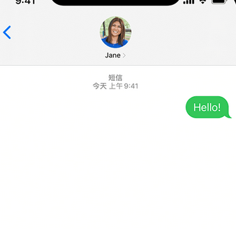 鄂托克前apple维修iPhone上无法正常发送iMessage信息