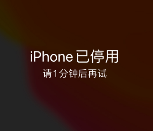 鄂托克前苹果手机维修分享:iPhone 显示“不可用”或“已停用”怎么办？还能保留数据吗？ 