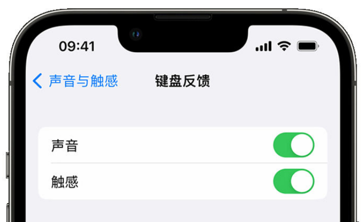 鄂托克前苹果手机维修分享iPhone 14触感键盘使用方法 