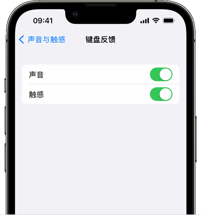 鄂托克前苹果14维修店分享如何在 iPhone 14 机型中使用触感键盘 