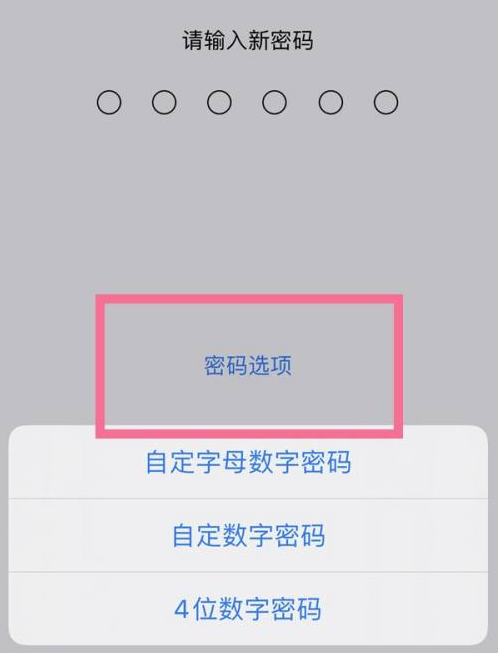 鄂托克前苹果14维修分享iPhone 14plus设置密码的方法 