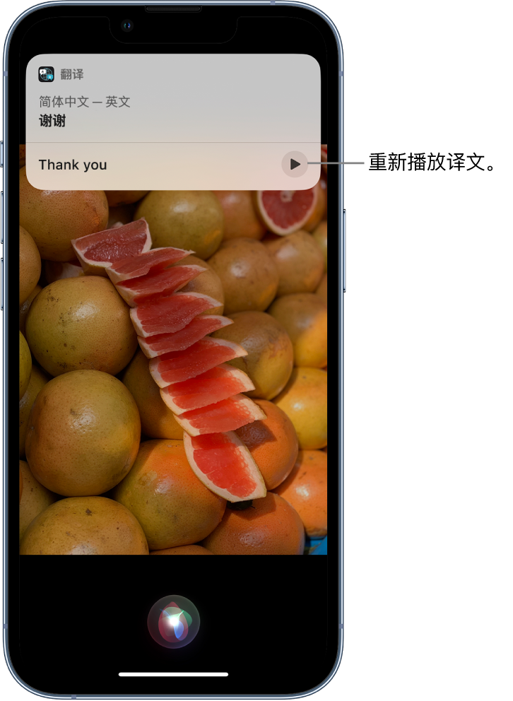 鄂托克前苹果14维修分享 iPhone 14 机型中使用 Siri：了解 Siri 能帮你做什么 