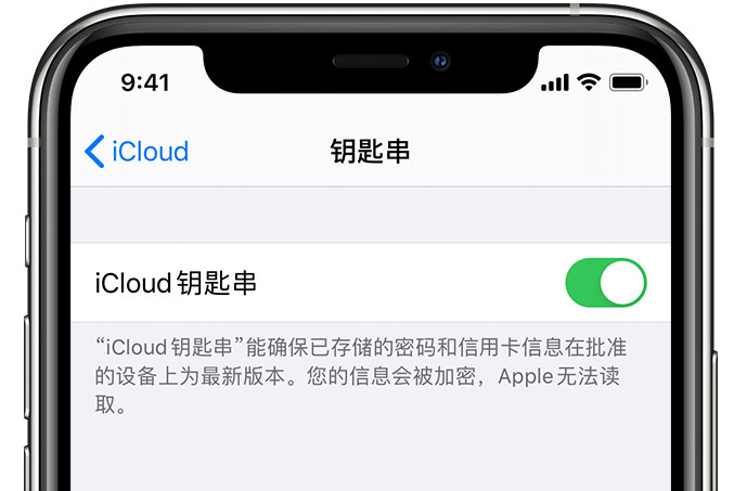 鄂托克前苹果手机维修分享在 iPhone 上开启 iCloud 钥匙串之后会储存哪些信息 