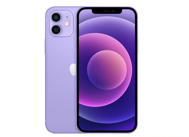 鄂托克前苹果手机维修分享现阶段要不要入手紫色版iPhone12 