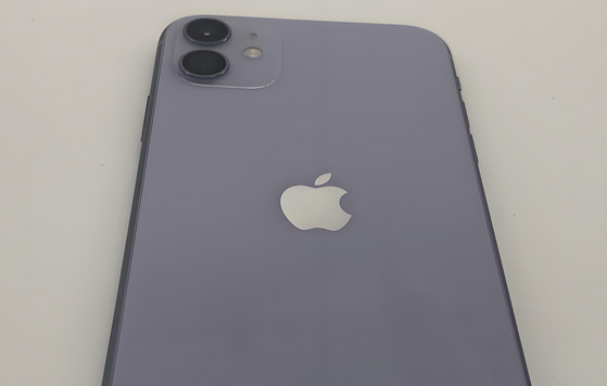 鄂托克前苹果11系统维修分享iPhone11手机系统崩溃无法开机如何解决 